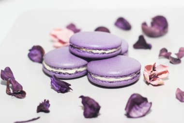 Macaroon. Tasty French dessert. Macaroon on the table
