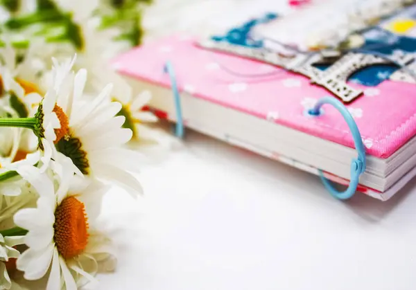 Papatya ve bir dizüstü bilgisayar ile arka plan