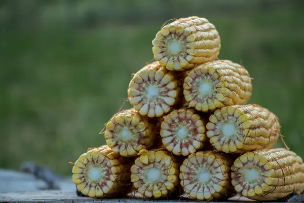 Corn Stacks Stacked Forming Pyramid — Stock Photo, Image