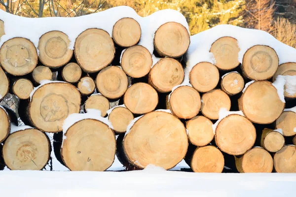 Yığılmış, kesilen ağaç kereste fabrikası için hazır ulaşım