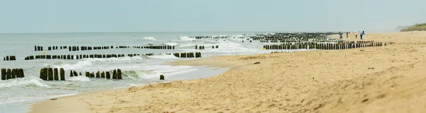 Stock image Wooden piles overgrown with algae, stuck in the shoreline of the sea, protection against waves.