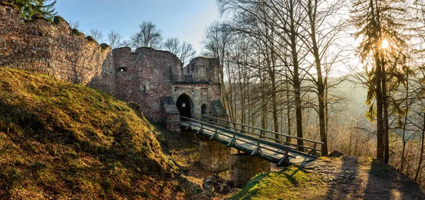 Ruínas do castelo de Litice na floresta. Atração turística na trilha turística . — Fotografia de Stock