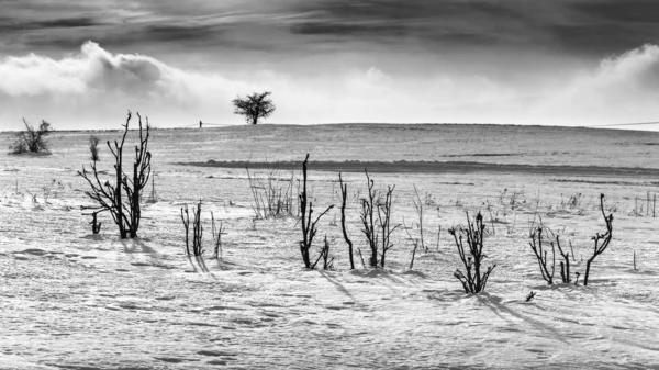 Winterlandschap op een zonnige dag in de heuvels. — Stockfoto