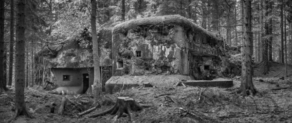 Blocco di fanteria della seconda guerra mondiale a Bartosovice / Orlicke hory, costruito nella foresta . — Foto Stock