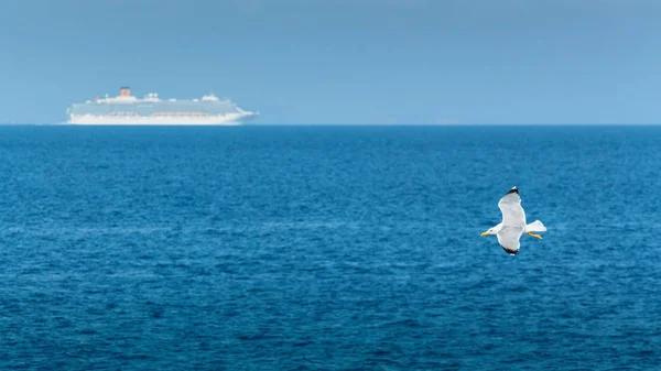 Vit mås flyger på en solig dag över det blå havet, fartyget i fjärran. — Stockfoto