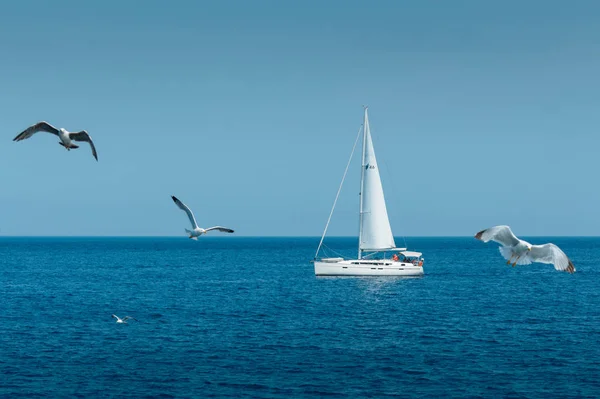 Vit mås flyger på en solig dag över det blå havet, fartyget i fjärran. — Stockfoto