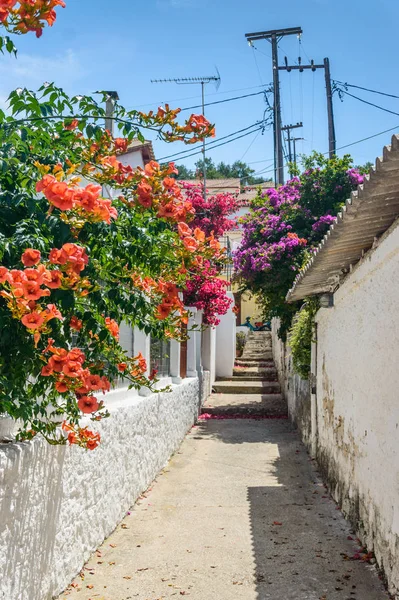 Evlerin beyaz duvarları arasındaki şehir yolu, güzel açan çiçekler..
