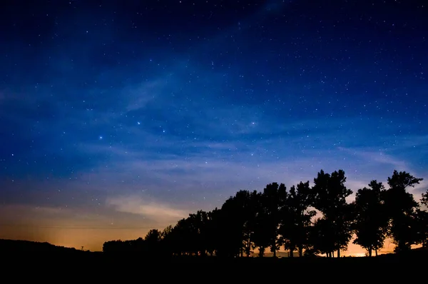 Oso Grande Cielo Nocturno Estrellado Árboles Largo Del Camino Con — Foto de Stock