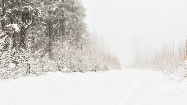 Winter Scenery Thick Layer Snow Mountains Snowy Trees Forest Hiking — Stock Photo, Image