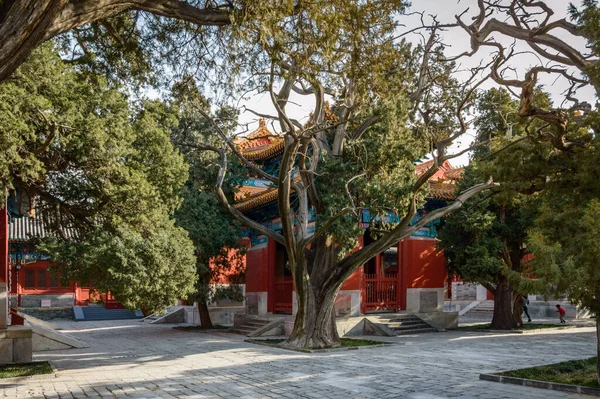 Traditionelle Chinesische Gebäude Auf Dem Tempelgelände Zahlreiche Farbenfrohe Gemälde Auf — Stockfoto