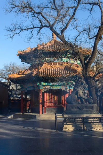 Bâtiment Chinois Classique Avec Nombreuses Décorations Sur Terrain Temple — Photo