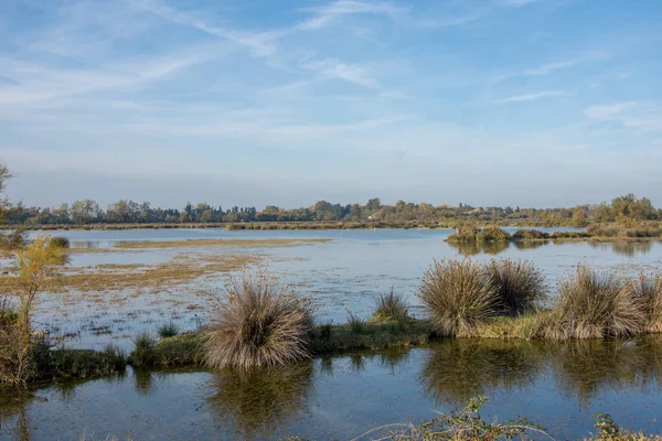 Landschaft der Camargues in Südfrankreich — Stockfoto