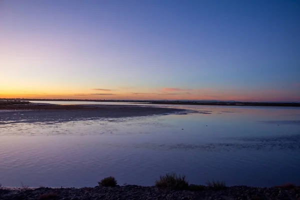Güney Fransa 'da Camargues manzarası