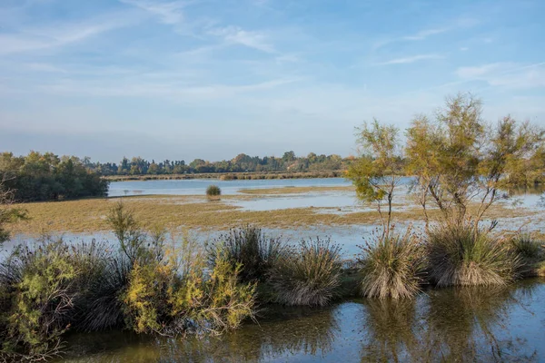 Paisagem de Camargues, no sul da França — Fotografia de Stock