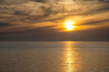 Güney Fransa 'da Camargues manzarası