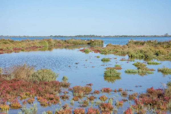 Landschap van Camargues in het zuiden van Frankrijk — Stockfoto