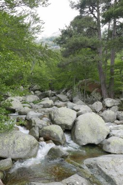 Güney Korsika 'da, güzellik adasında tatiller.