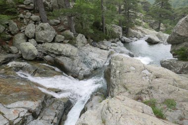 Güney Korsika 'da, güzellik adasında tatiller.