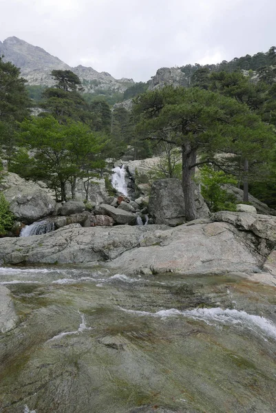 Vacaciones en la isla de la belleza, en el sur de Córcega . — Foto de Stock