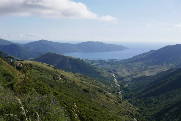 Férias na ilha de beleza, no sul da Córsega . — Fotografia de Stock