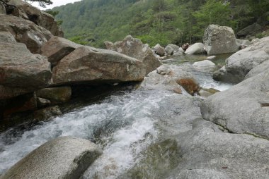 Güney Korsika 'da, güzellik adasında tatiller.