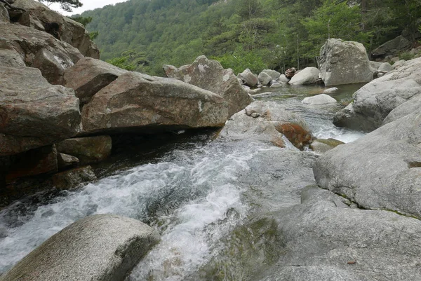 Güney Korsika 'da, güzellik adasında tatiller.