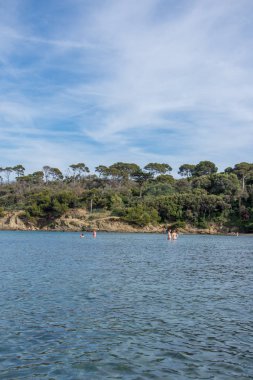 Gien yarımadasındaki sahil Carbet