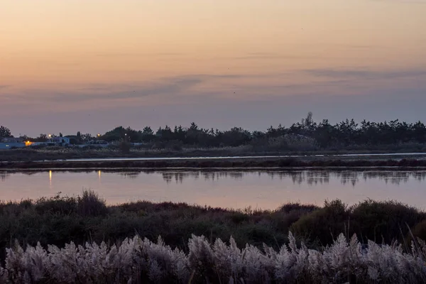 Krajobraz Camargues na południu Francji — Zdjęcie stockowe