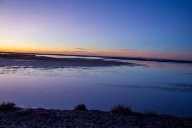 Güney Fransa 'da Camargues manzarası