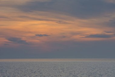 Güney Fransa 'da Camargues manzarası