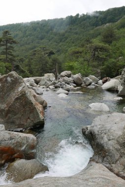 Güney Korsika 'da, güzellik adasında tatiller.
