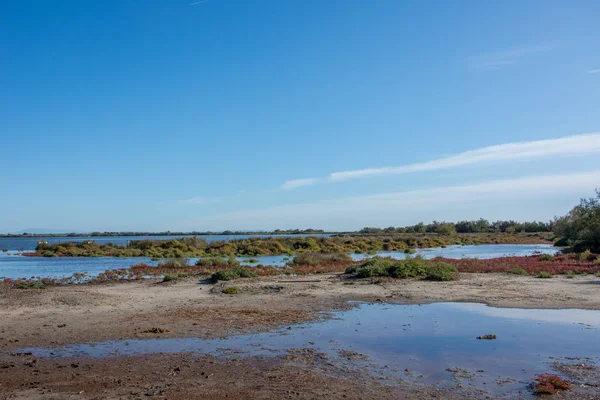 Landscape of Camargues in the south of France — Stock Photo, Image