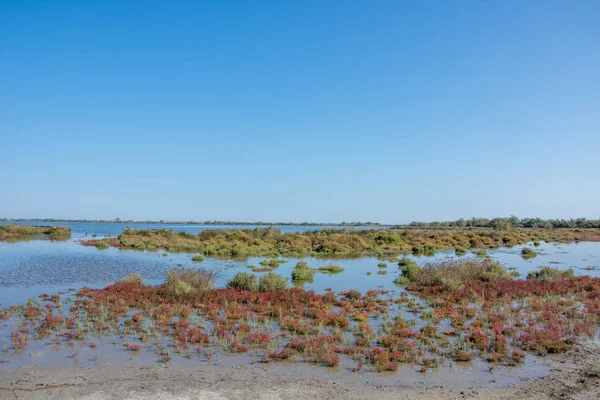 Landschap van Camargues in het zuiden van Frankrijk — Stockfoto