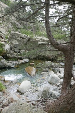 Güney Korsika 'da, güzellik adasında tatiller.