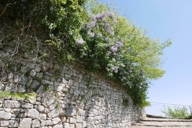 Forcalquier 'in çevresindeki Alpes de Haute Provence, Fransa