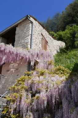 Forcalquier 'in çevresindeki Alpes de Haute Provence, Fransa