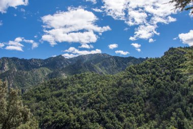 Doğu Pyrenes 'in keşfi yaz aylarında, hala vahşi bölgede