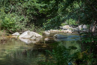 Doğu Pyrenes 'in keşfi yaz aylarında, hala vahşi bölgede