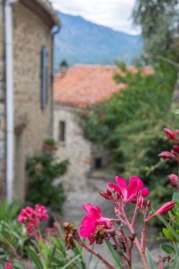 Doğu Pyrenes 'in keşfi yaz aylarında, hala vahşi bölgede