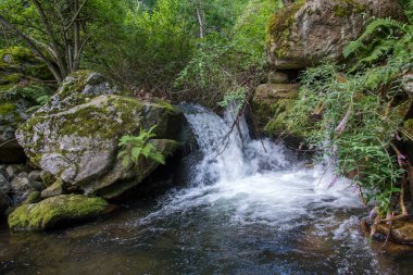 Doğu Pyrenes 'in keşfi yaz aylarında, hala vahşi bölgede