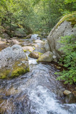 Doğu Pyrenes 'in keşfi yaz aylarında, hala vahşi bölgede