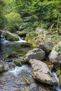 Doğu Pyrenes 'in keşfi yaz aylarında, hala vahşi bölgede