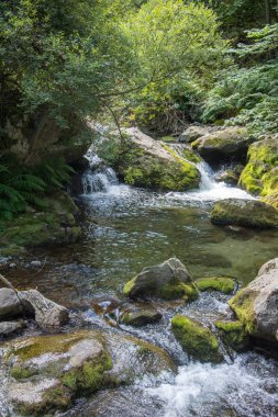 Doğu Pyrenes 'in keşfi yaz aylarında, hala vahşi bölgede
