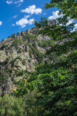 Doğu Pyrenes 'in keşfi yaz aylarında, hala vahşi bölgede