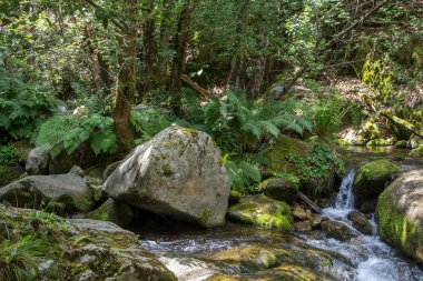 Doğu Pyrenes 'in keşfi yaz aylarında, hala vahşi bölgede