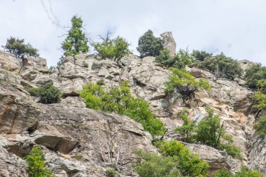 Doğu Pyrenes 'in keşfi yaz aylarında, hala vahşi bölgede