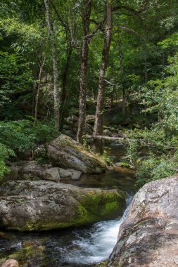 Doğu Pyrenes 'in keşfi yaz aylarında, hala vahşi bölgede