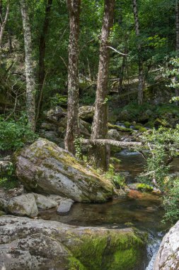 Doğu Pyrenes 'in keşfi yaz aylarında, hala vahşi bölgede