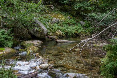 Doğu Pyrenes 'in keşfi yaz aylarında, hala vahşi bölgede