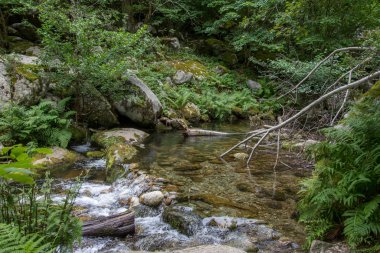 Doğu Pyrenes 'in keşfi yaz aylarında, hala vahşi bölgede